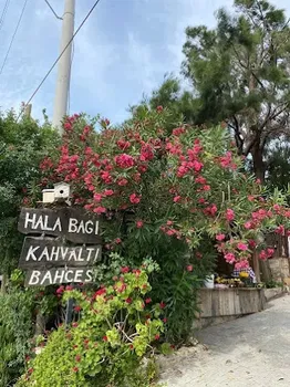 Halabağı Kahvaltı Bahçesi resimleri