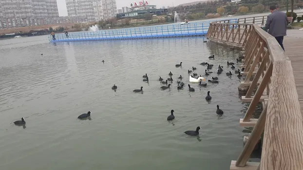 Katre Cafe resimleri