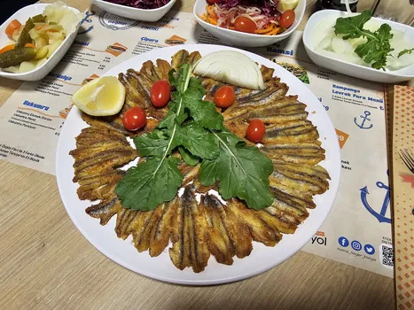 Hamsi Finger resimleri