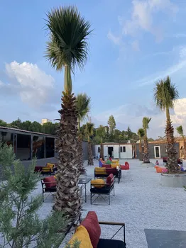 La Casa Cafe&Oyun Salonu resimleri
