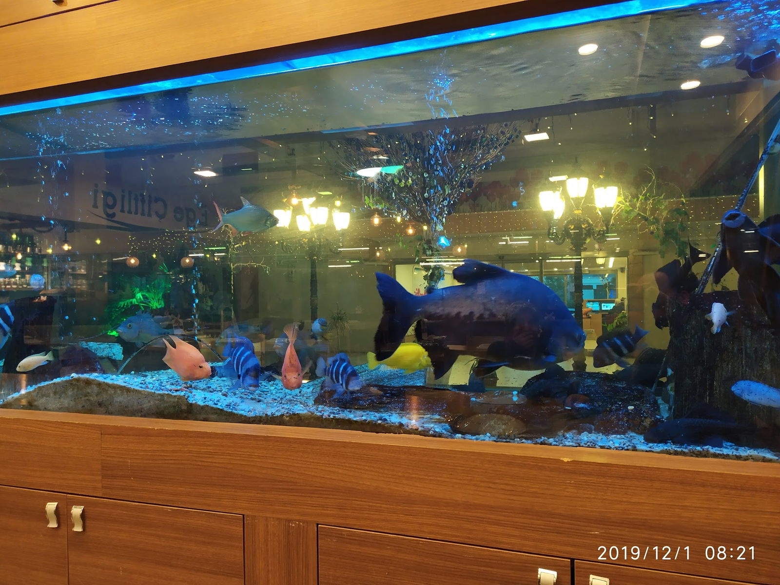 Ege Çiftliği Restoran & Şarküteri