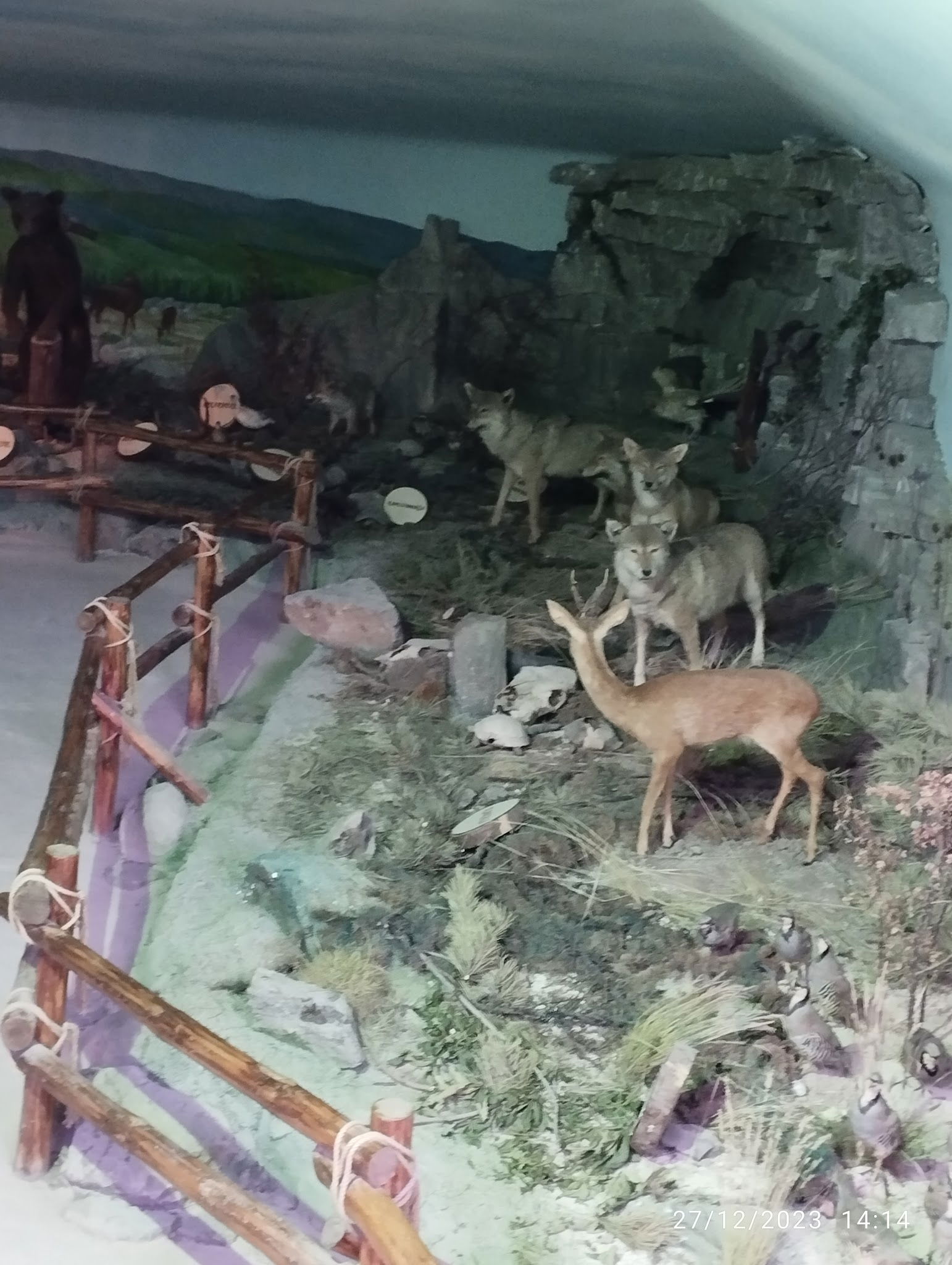 Çamlıdere Semerkand Sofrası