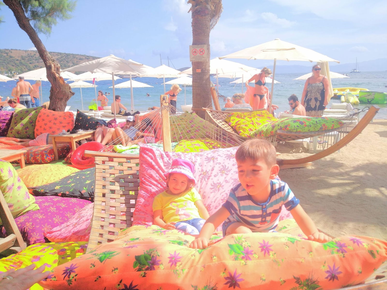 Seagull Cafe Restaurant