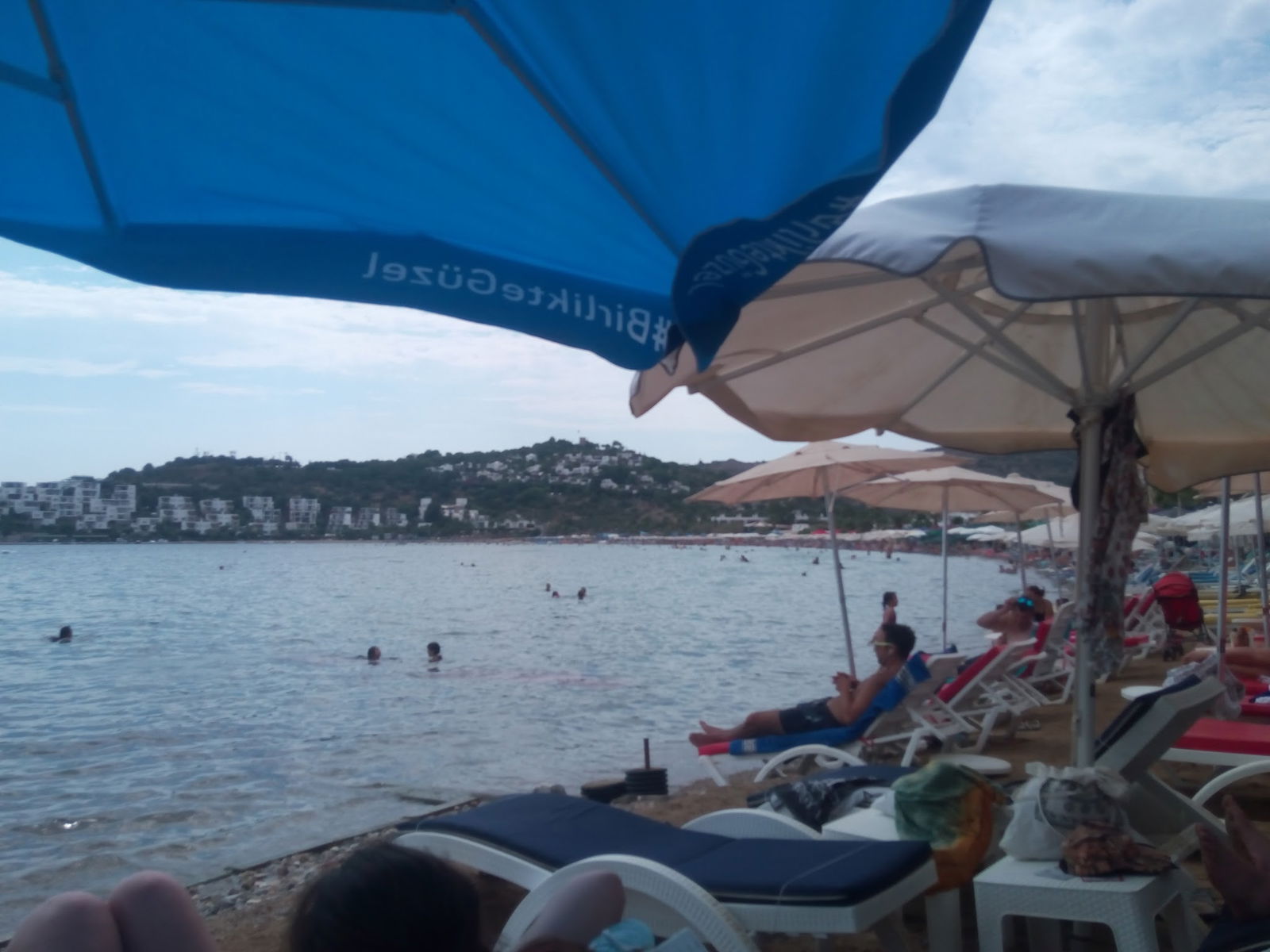 Seagull Cafe Restaurant