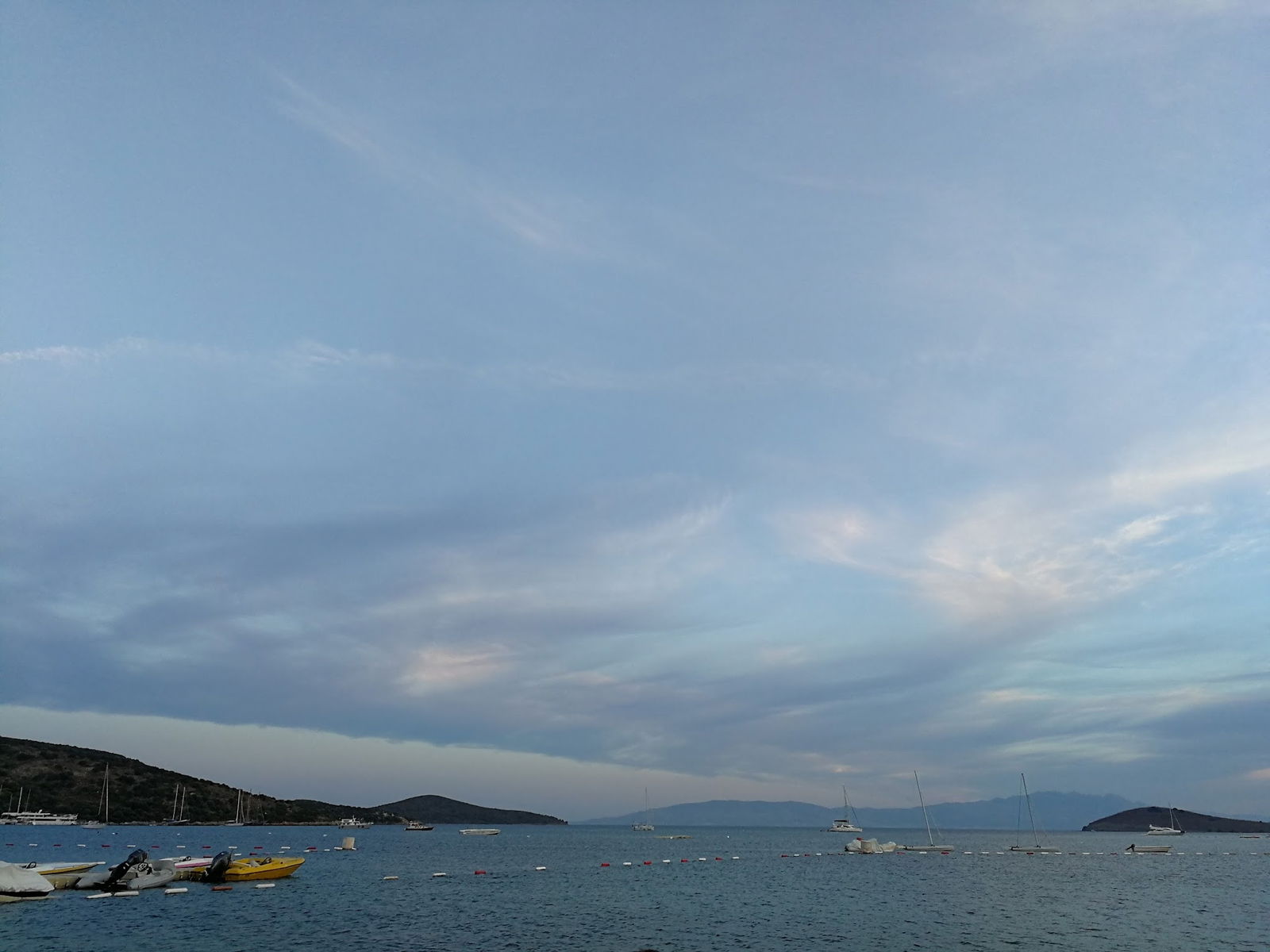 Seagull Cafe Restaurant