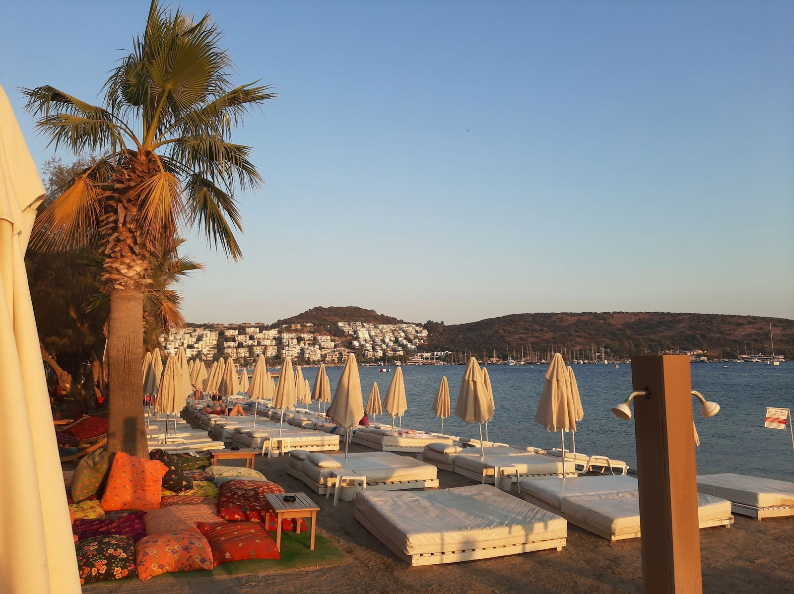 Seagull Cafe Restaurant