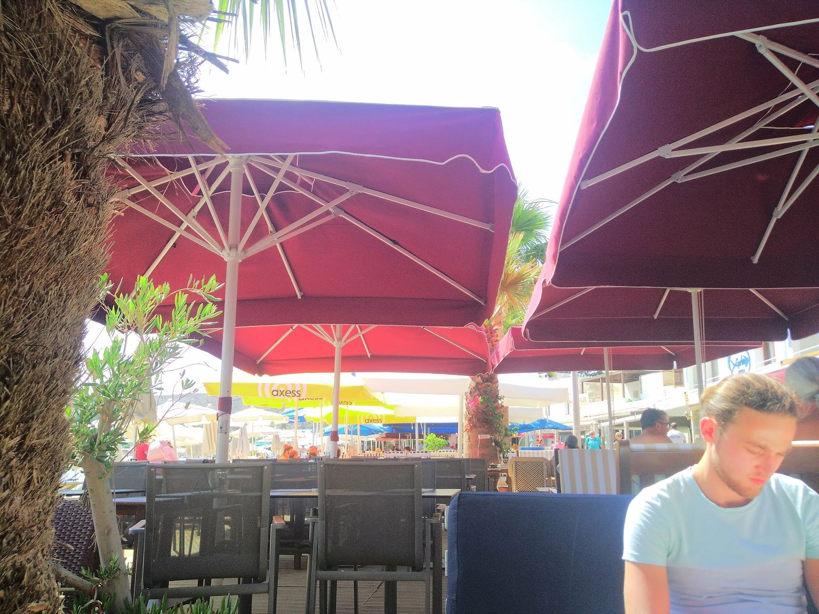 Seagull Cafe Restaurant