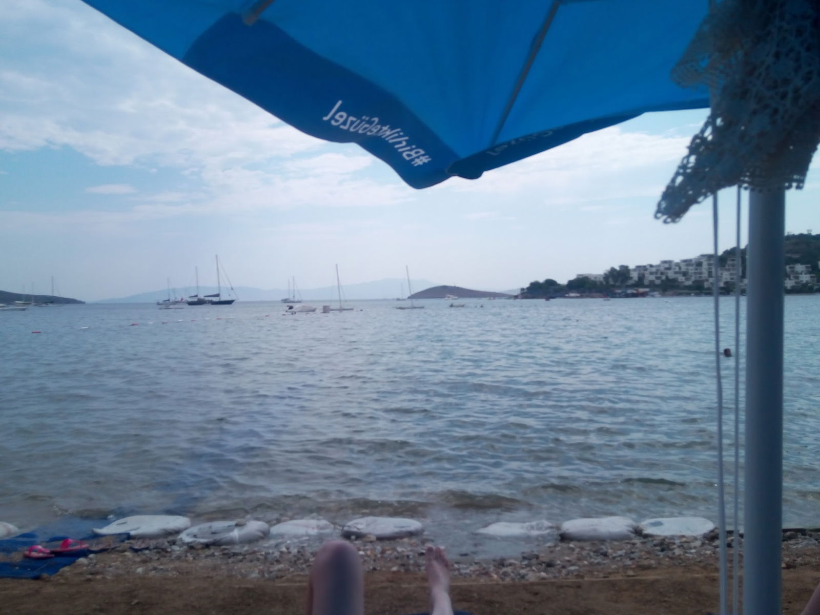 Seagull Cafe Restaurant