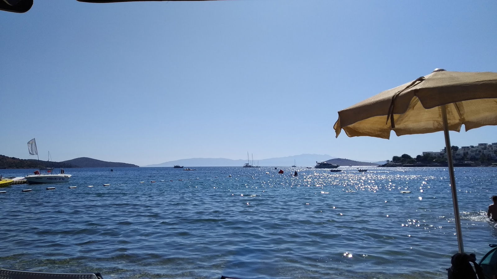 Seagull Cafe Restaurant