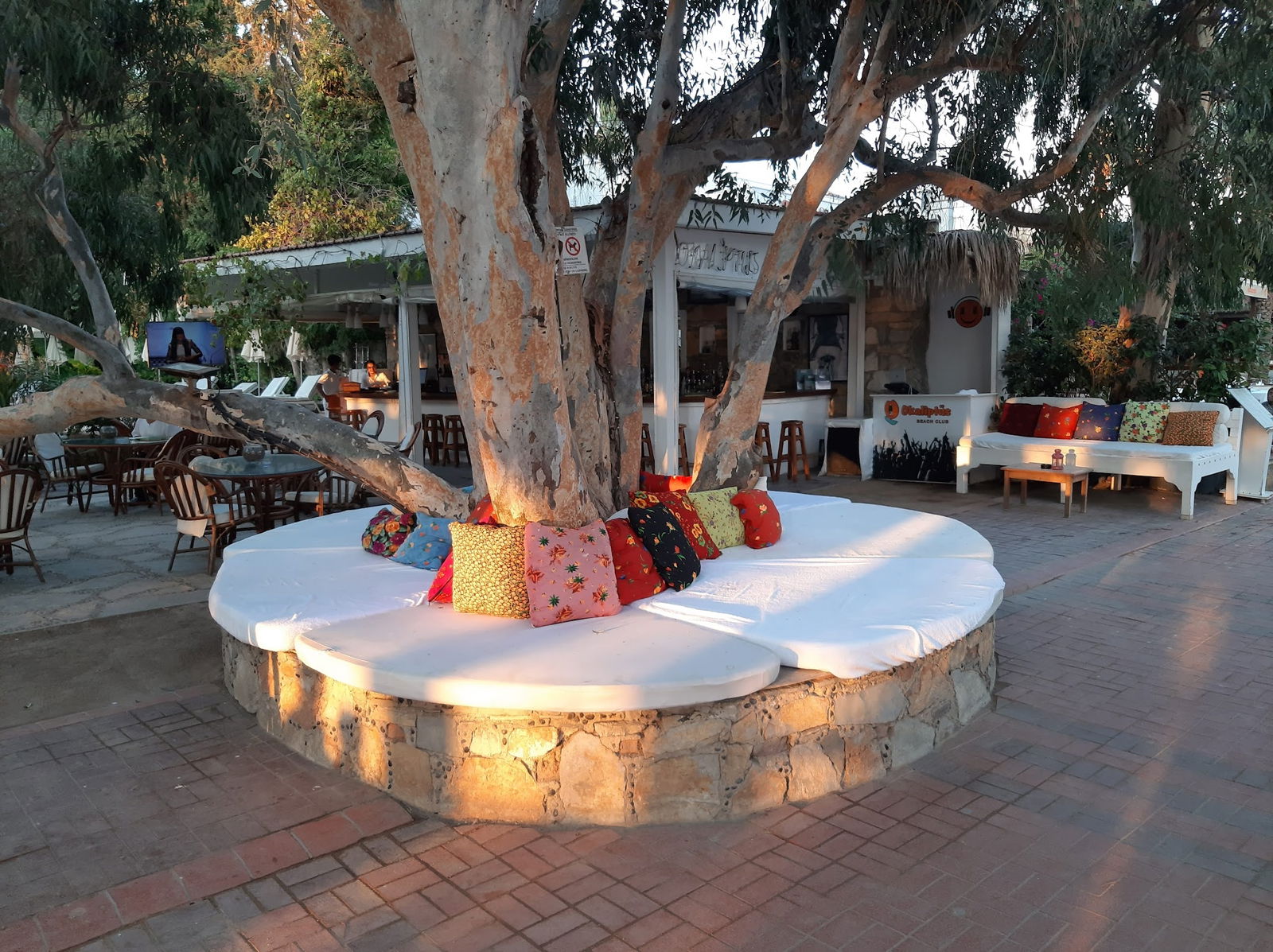 Seagull Cafe Restaurant