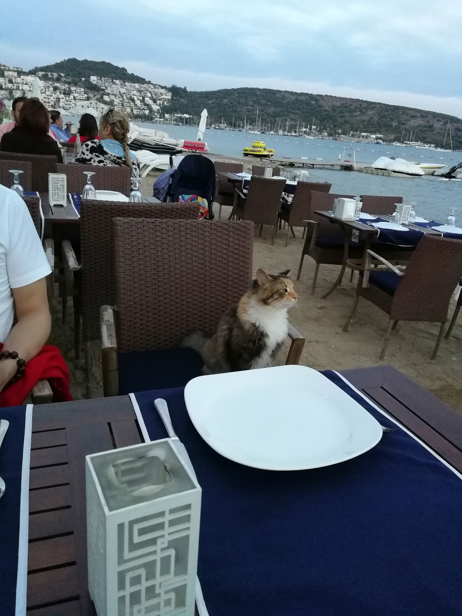 Seagull Cafe Restaurant