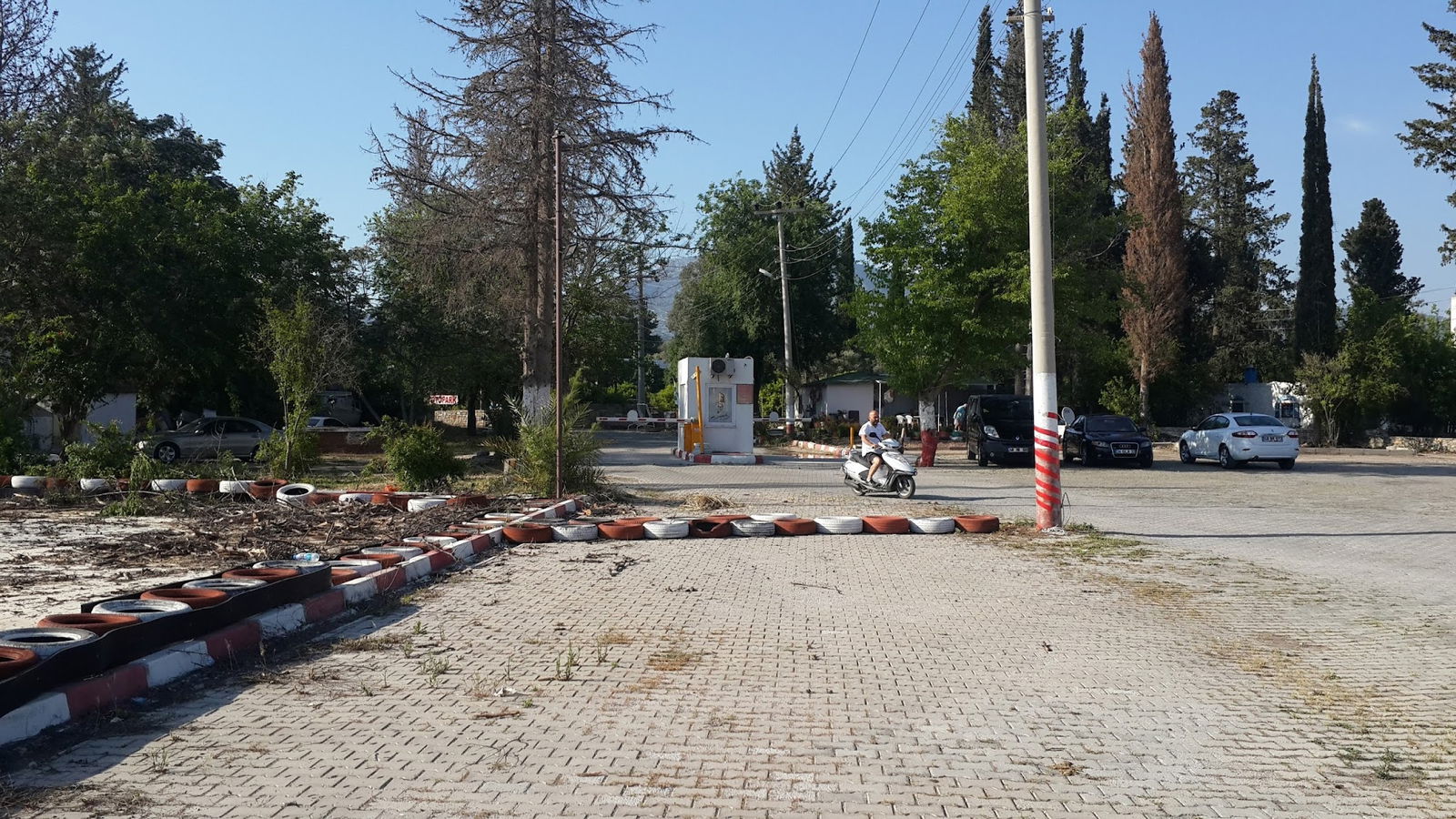 Seagull Cafe Restaurant