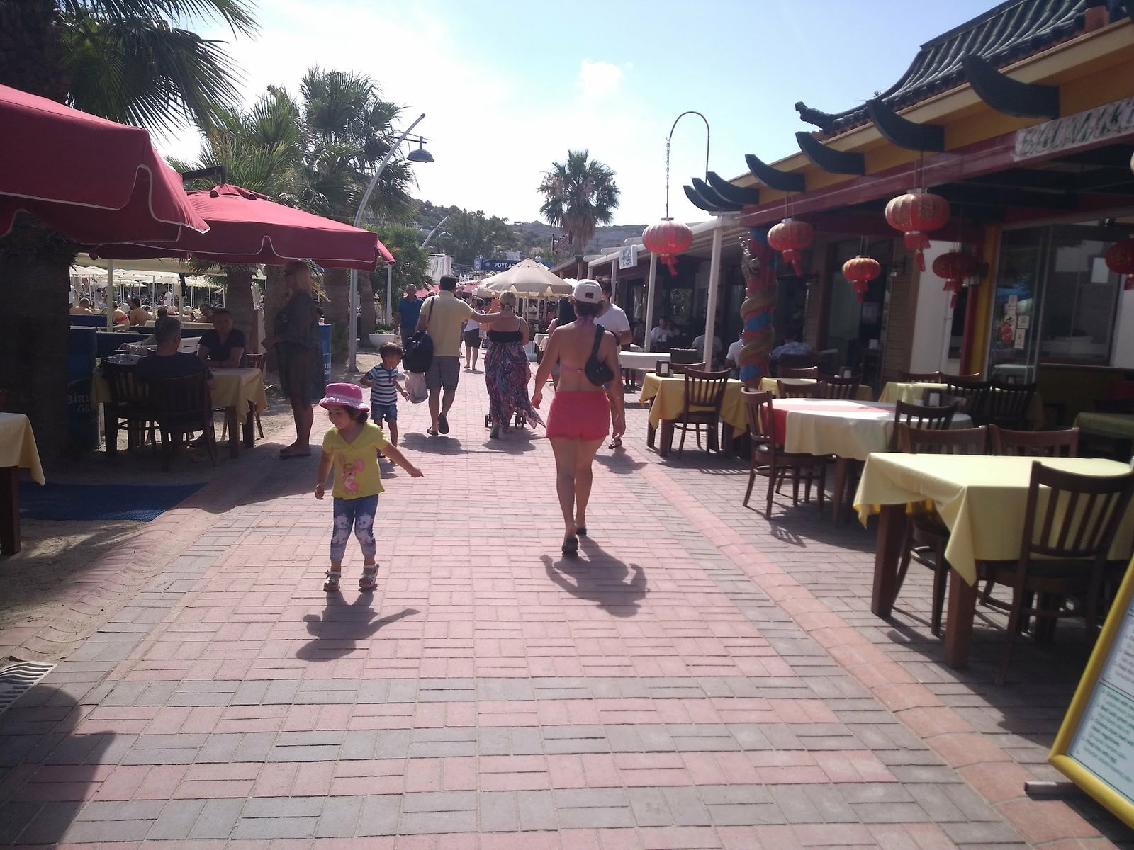 Seagull Cafe Restaurant