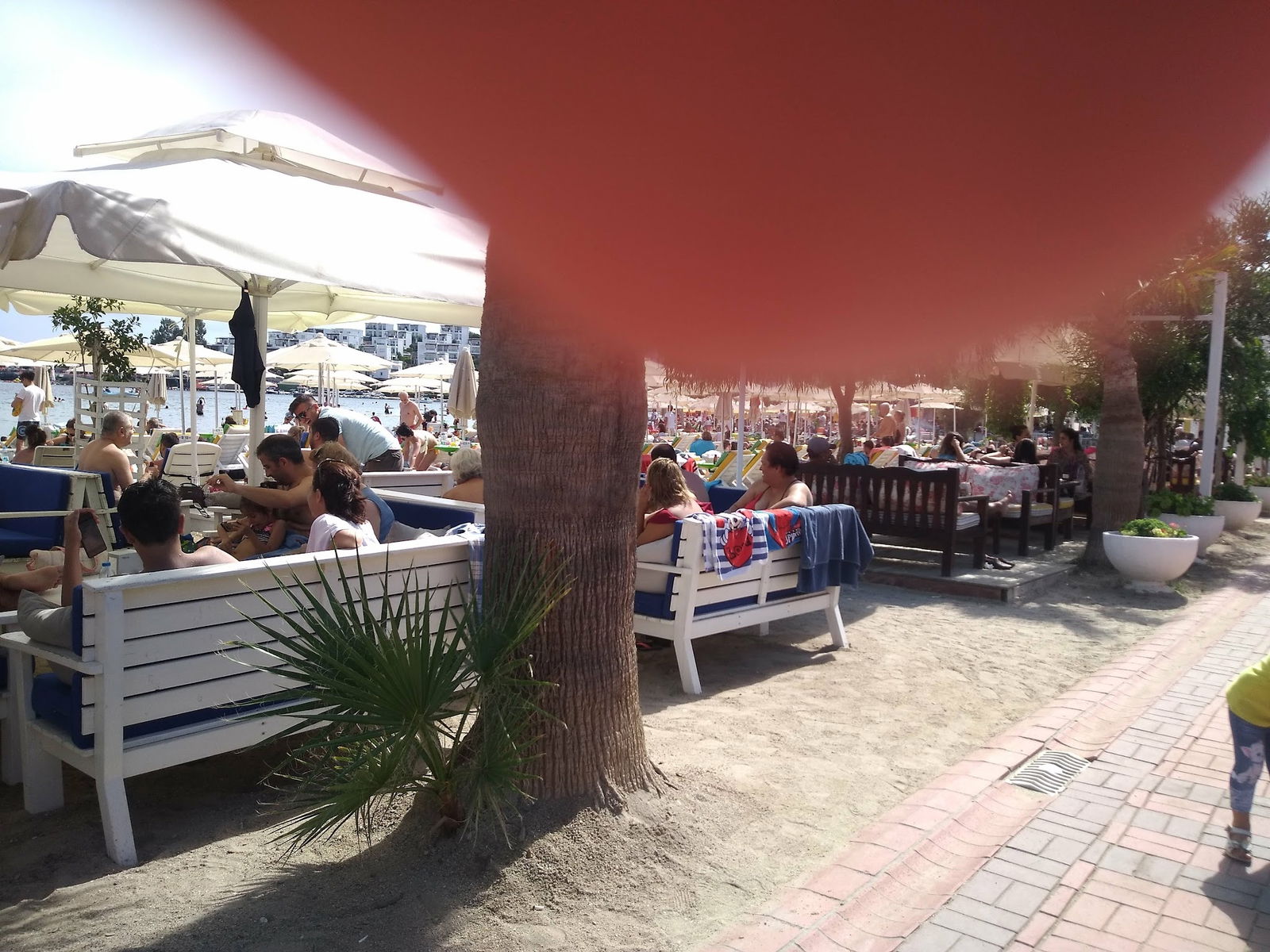 Seagull Cafe Restaurant