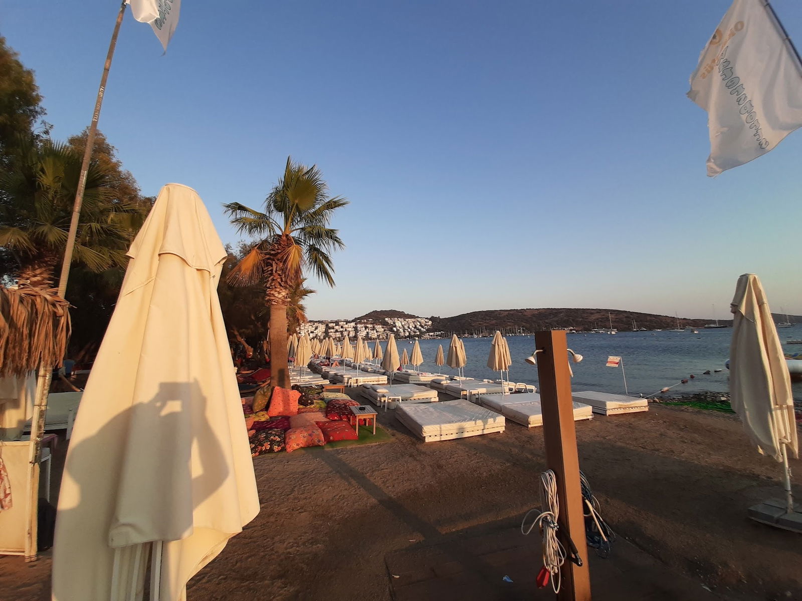 Seagull Cafe Restaurant