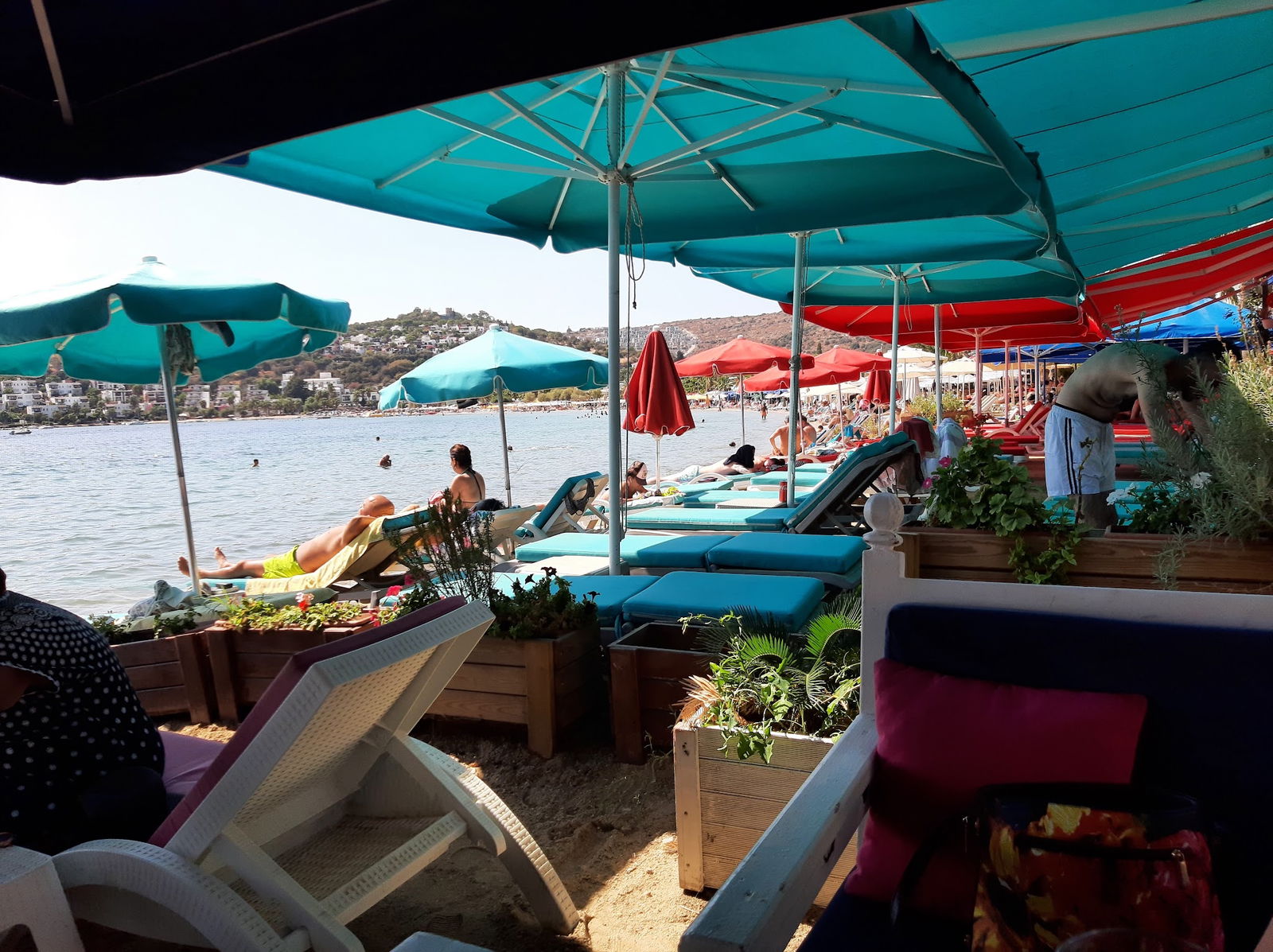 Seagull Cafe Restaurant