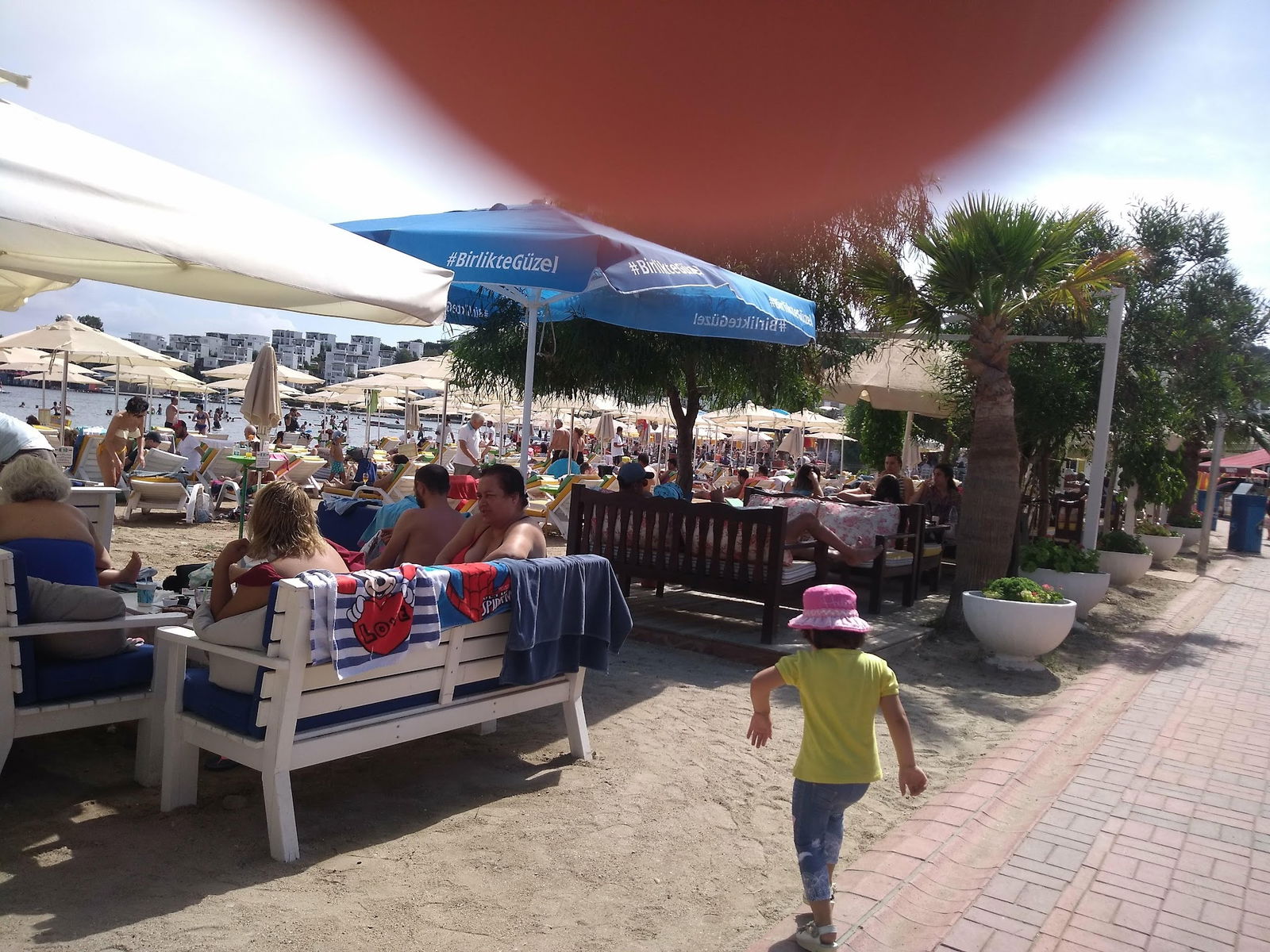 Seagull Cafe Restaurant