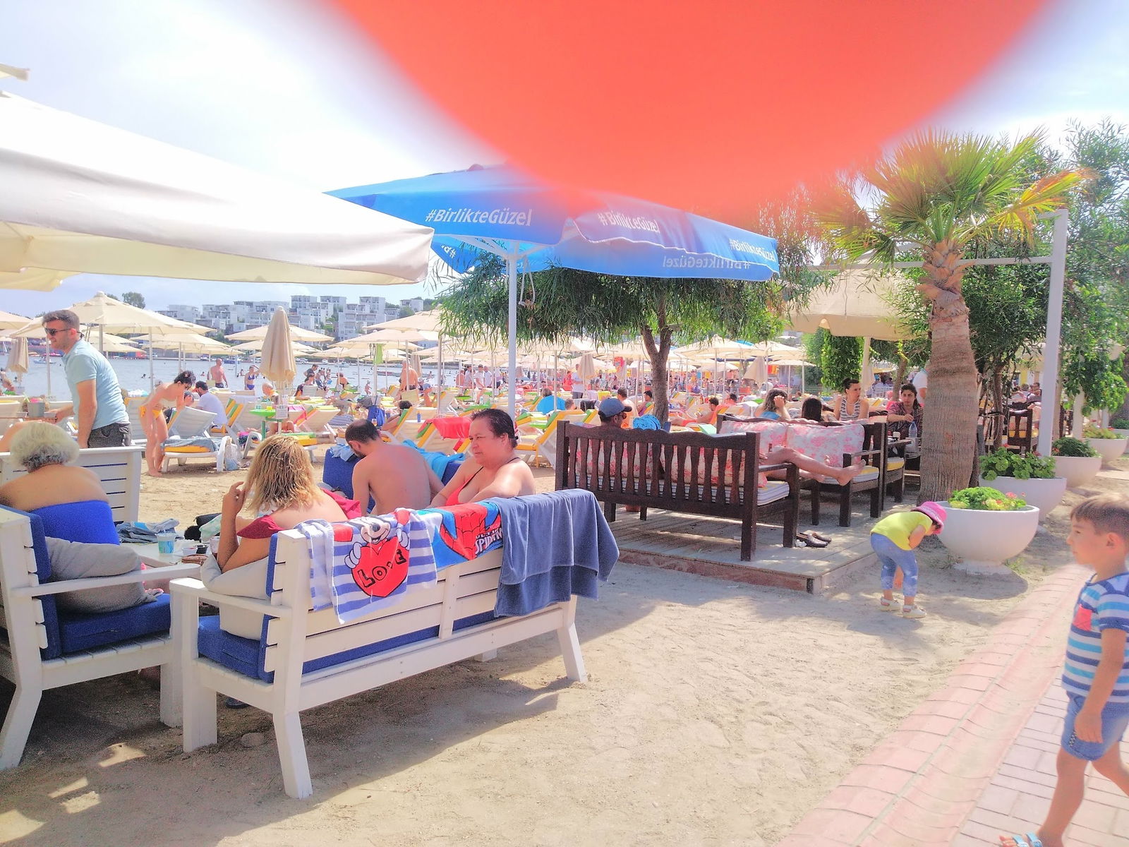 Seagull Cafe Restaurant