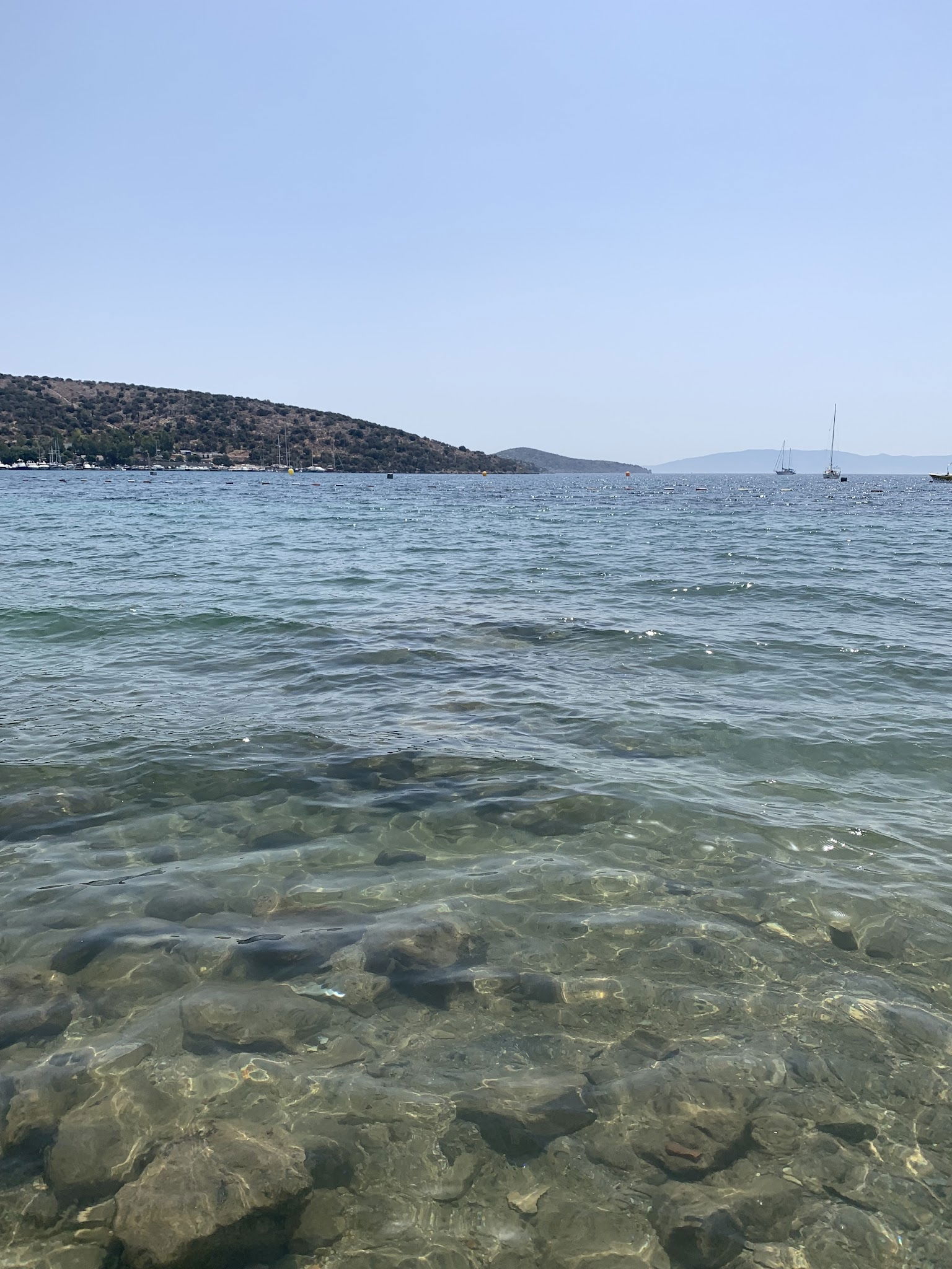 Seagull Cafe Restaurant