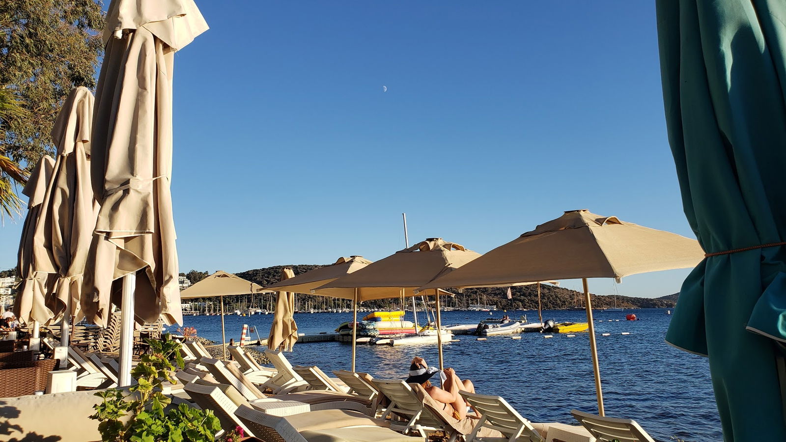 Seagull Cafe Restaurant