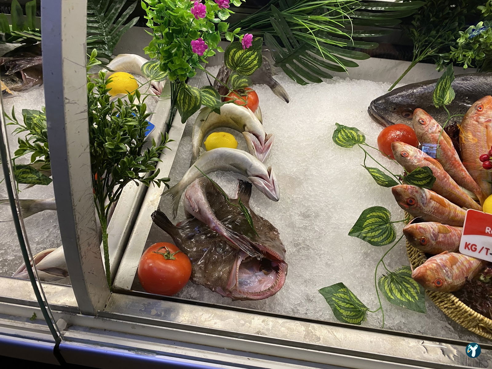 Dodo Balik Restaurant