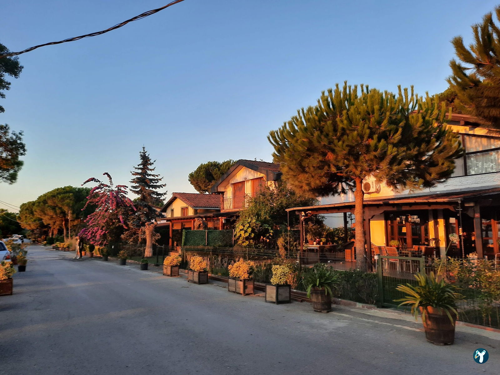 Dodo Balik Restaurant