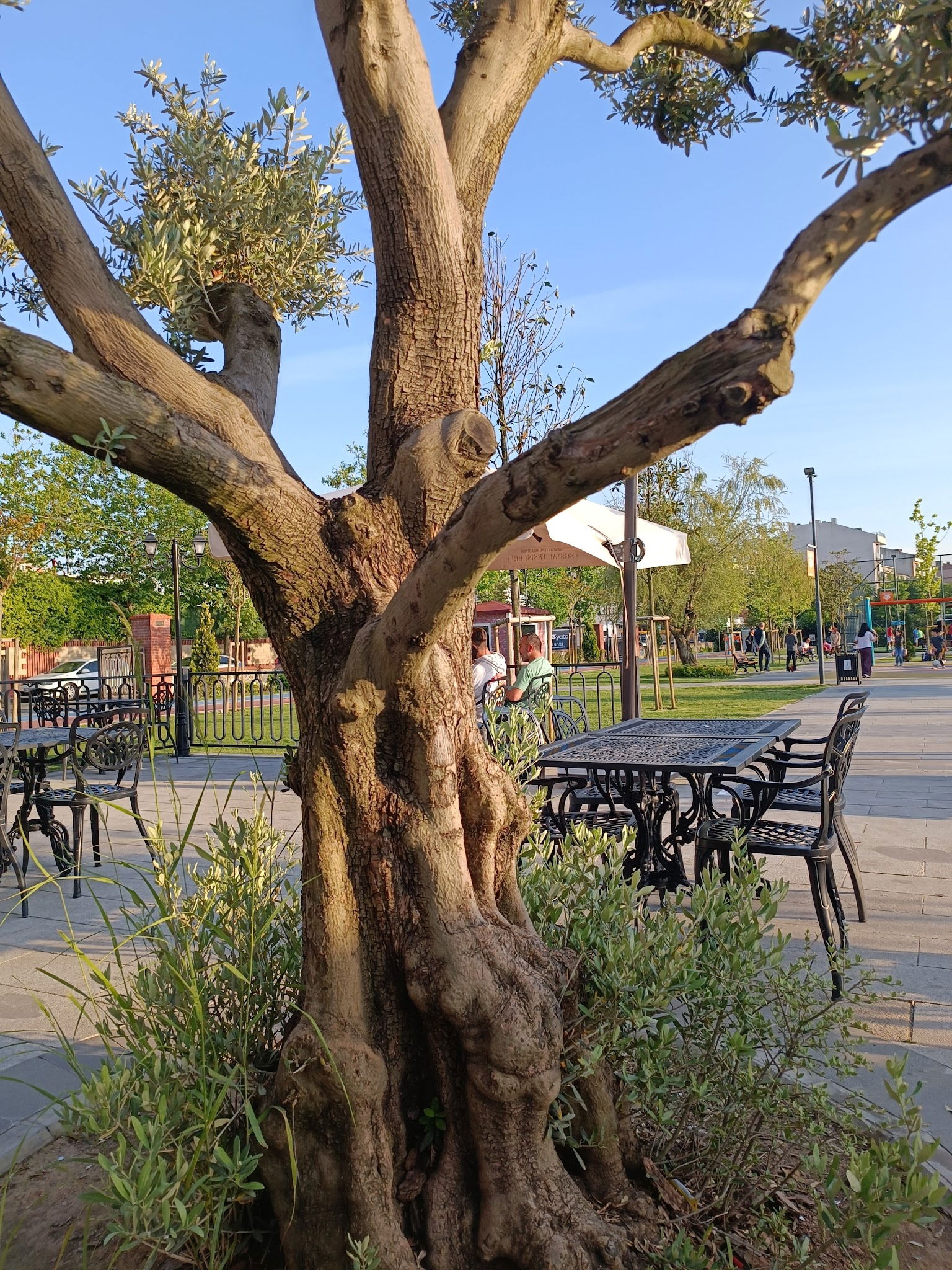 Sancaktepe Sosyal Tesisleri Hanımeli Kafe