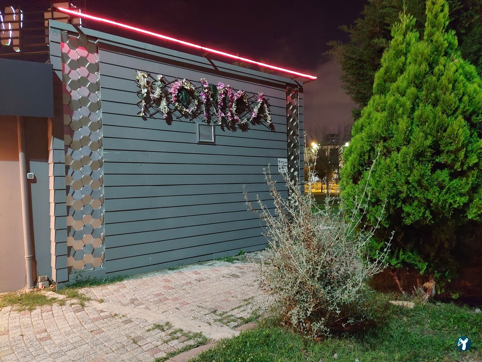 Monica Kitchen