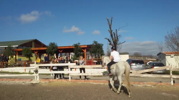 Atlı Binicilik resimleri