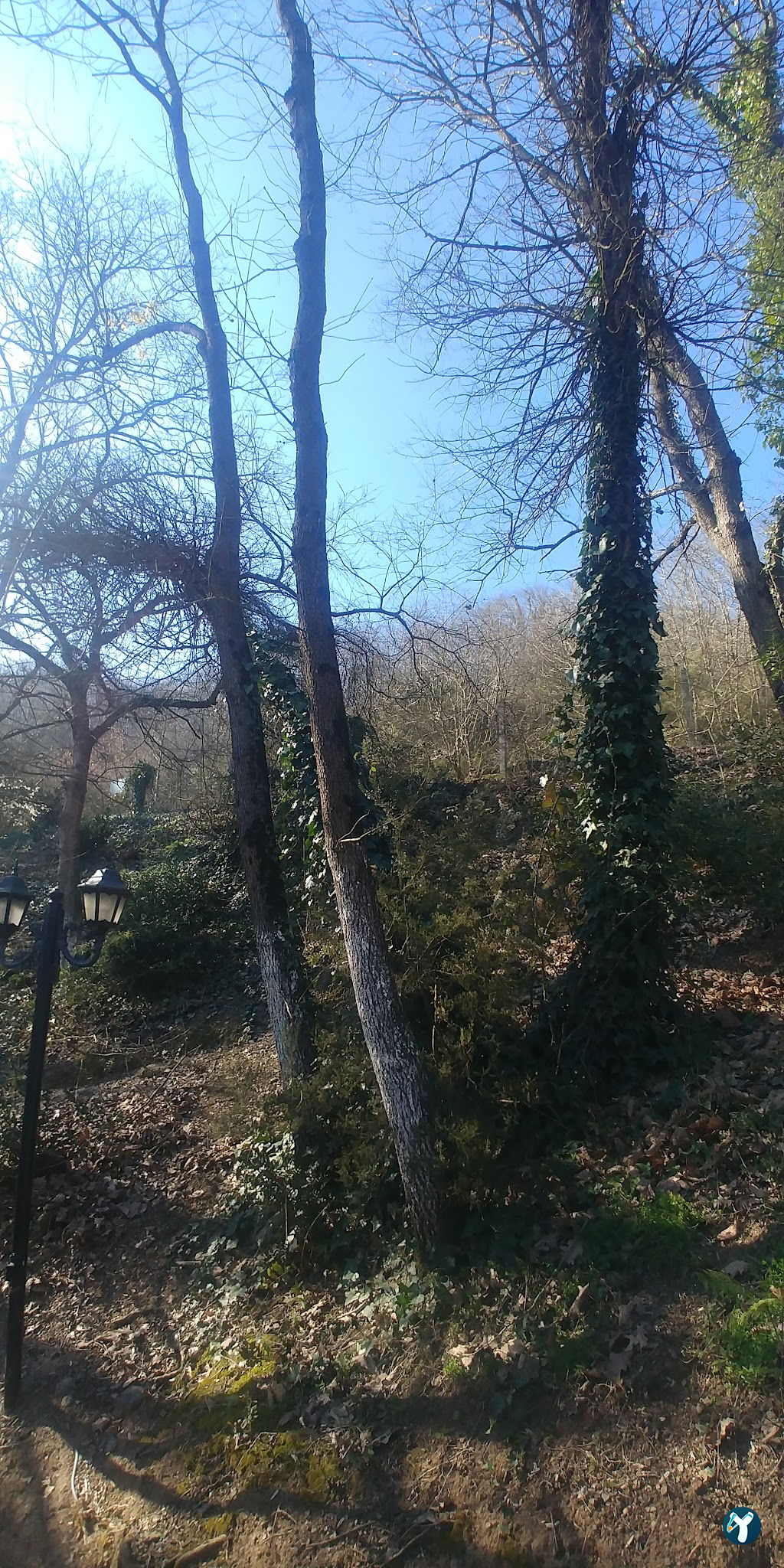 Saklı Bahçe