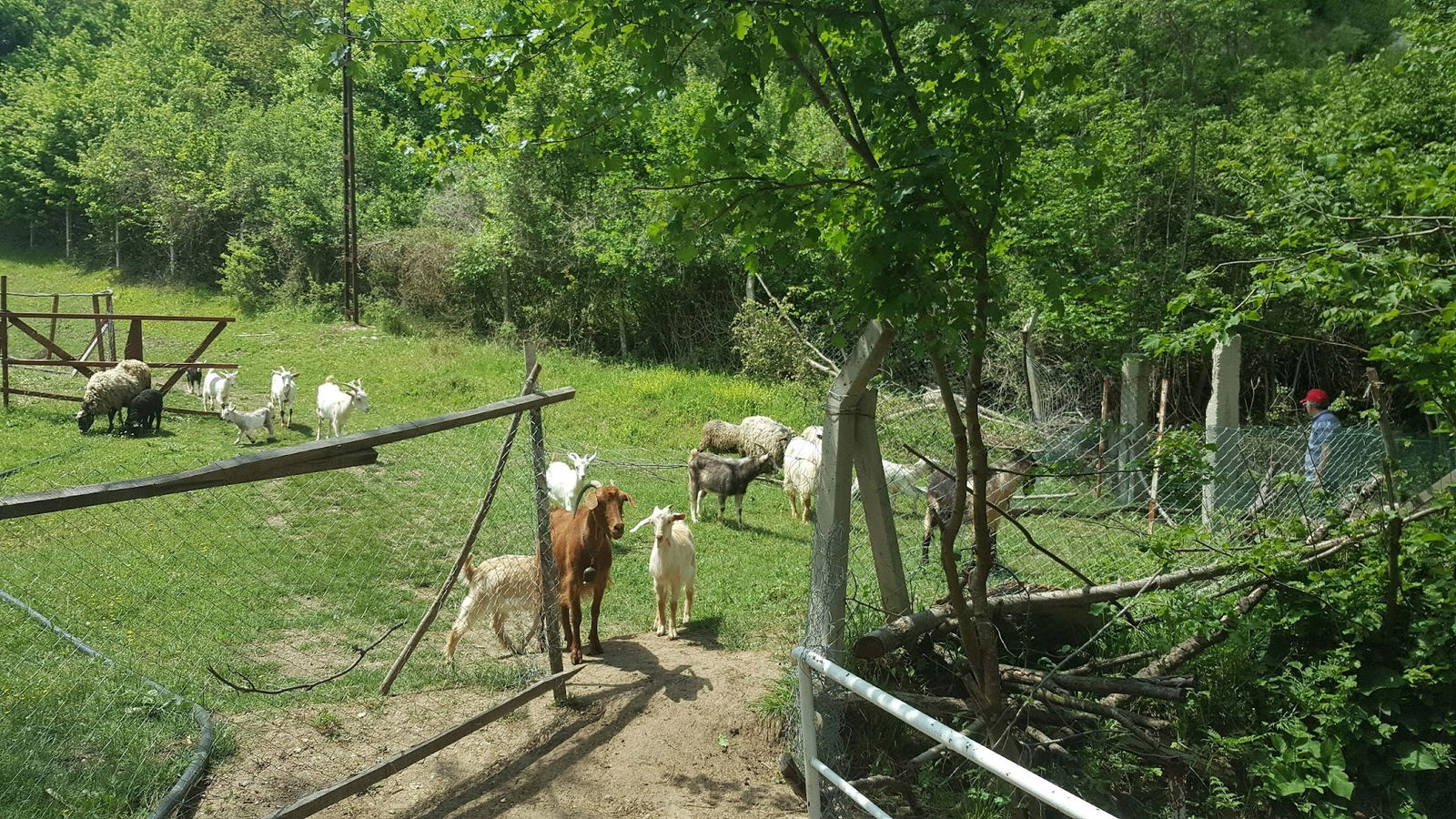 Binkılıç Saklı Bahçe