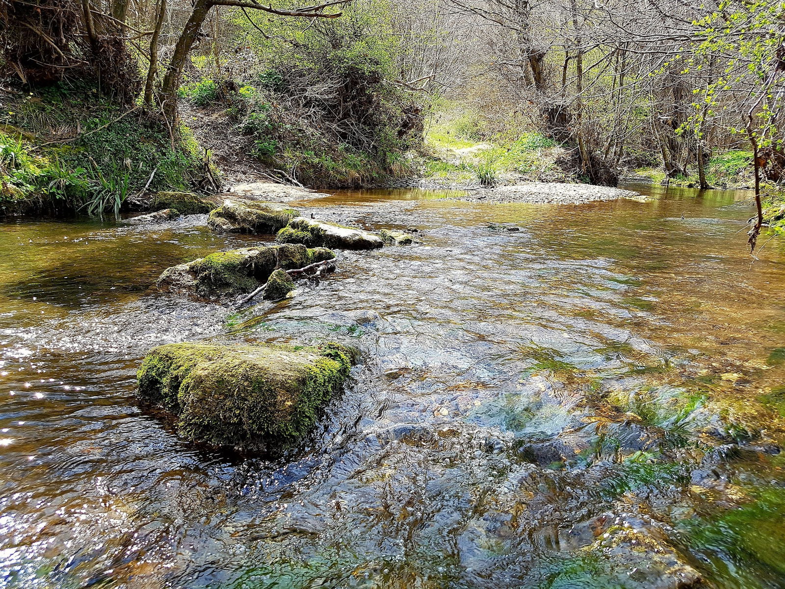 Binkılıç Saklı Bahçe