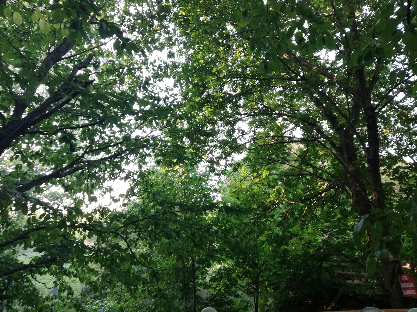 Binkılıç Saklı Bahçe