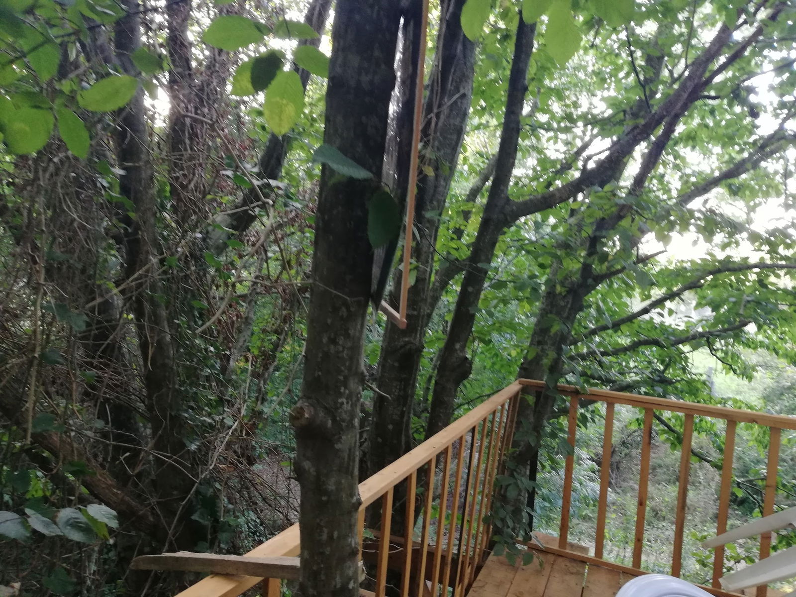 Binkılıç Saklı Bahçe