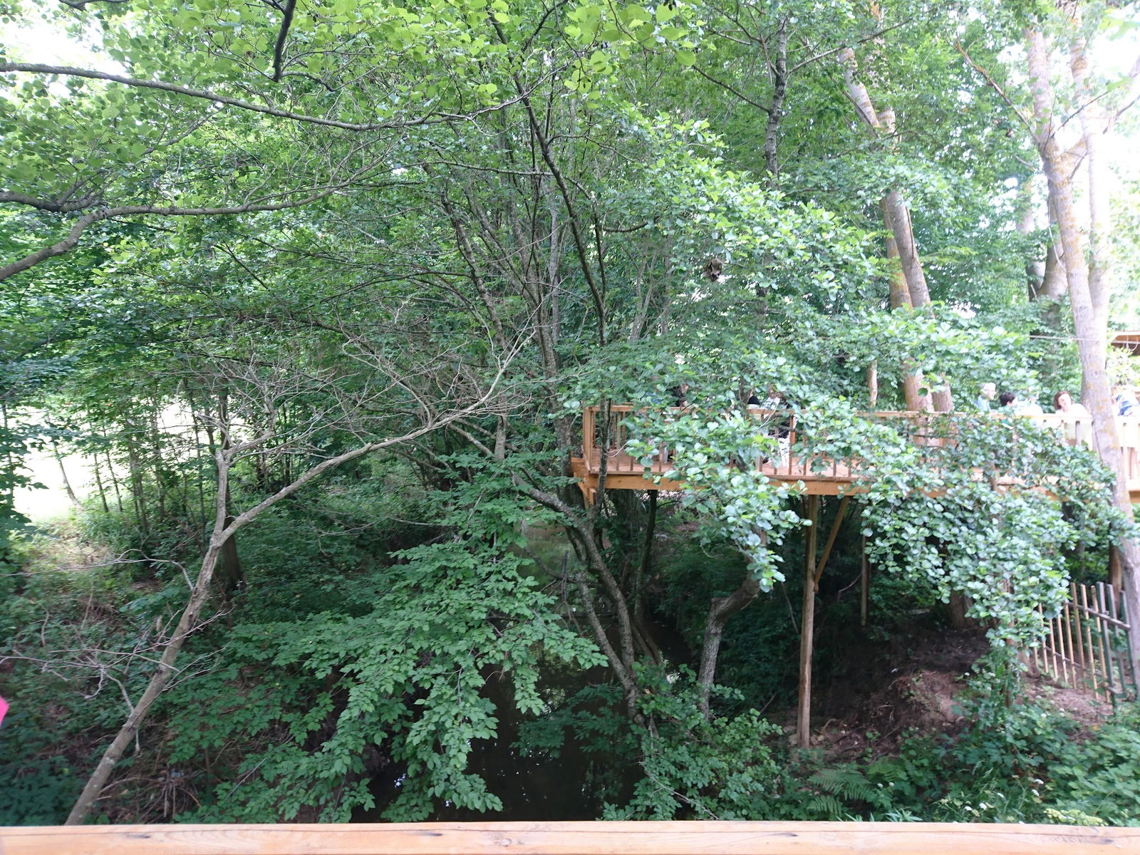 Binkılıç Saklı Bahçe