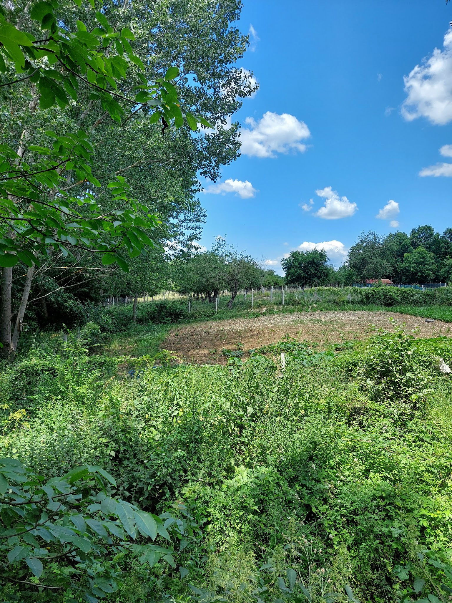 Binkılıç Saklı Bahçe