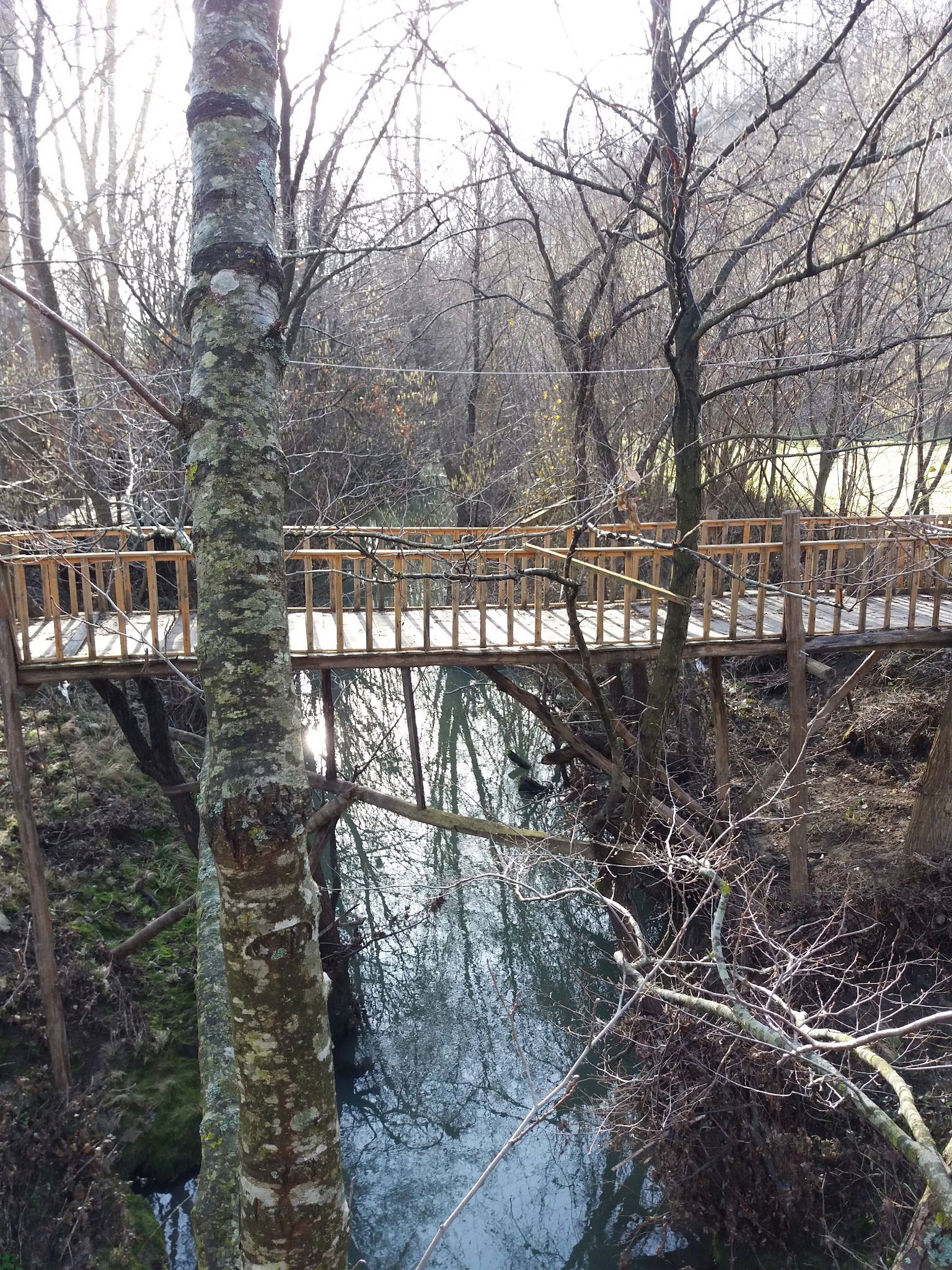 Binkılıç Saklı Bahçe