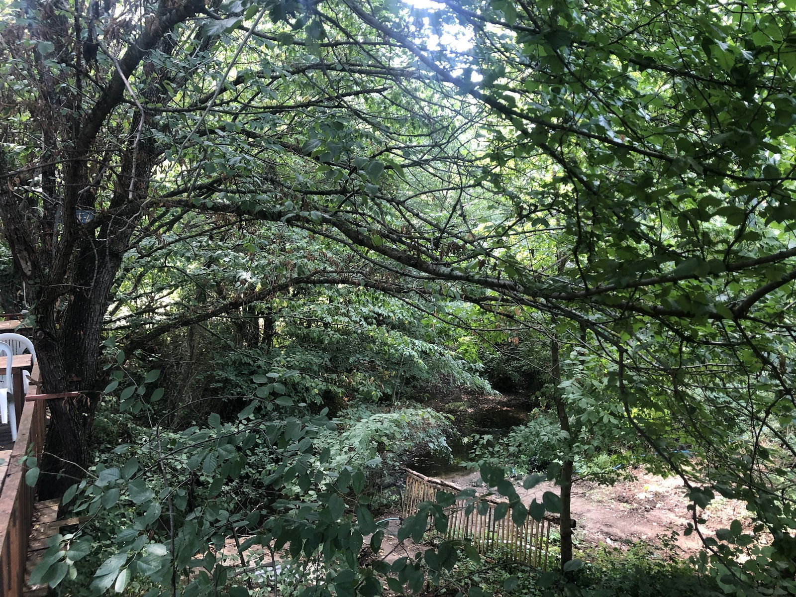 Binkılıç Saklı Bahçe