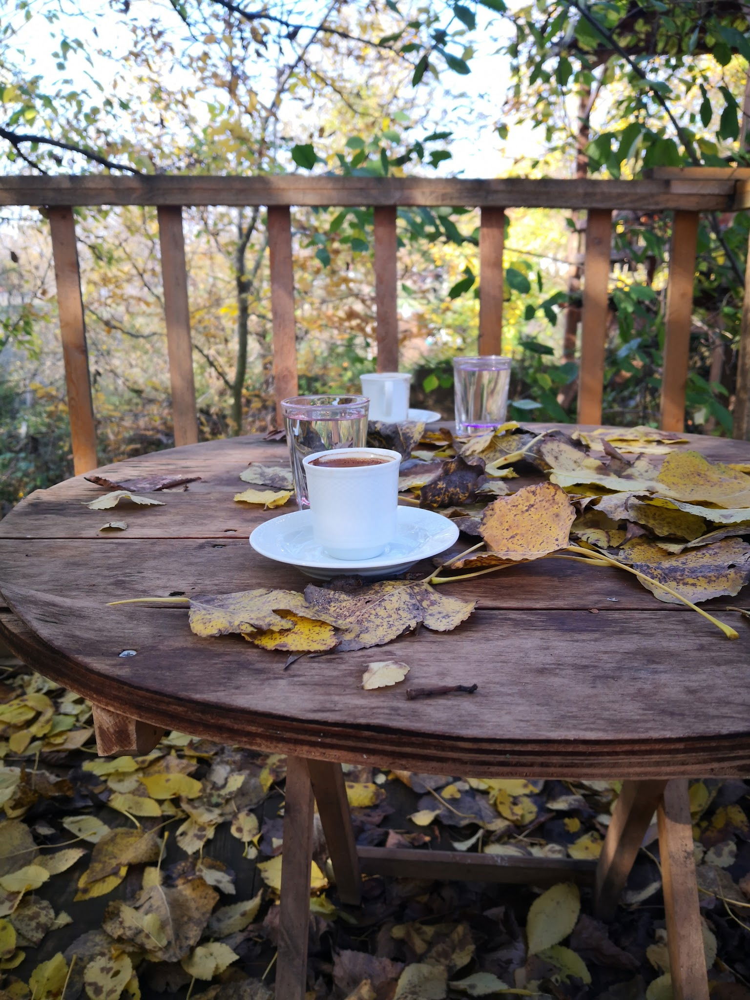 Binkılıç Saklı Bahçe