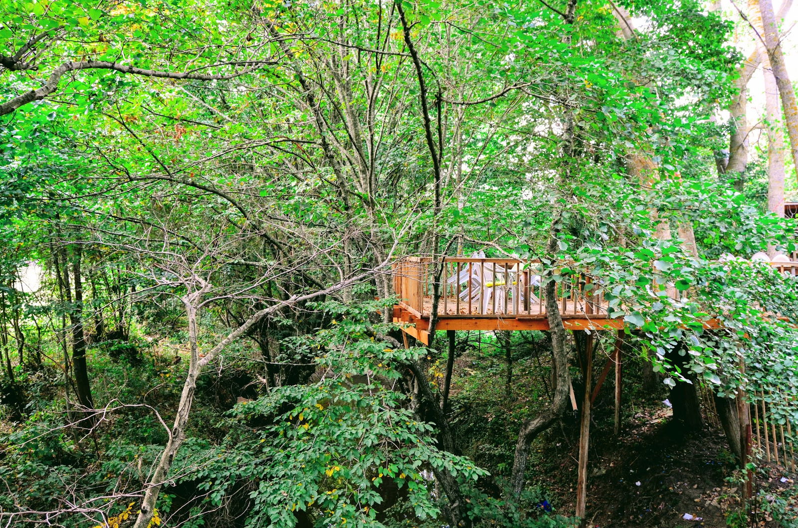 Binkılıç Saklı Bahçe