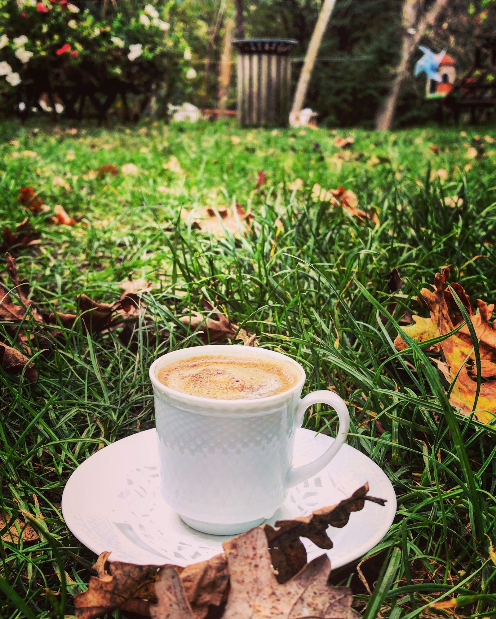 Binkılıç Saklı Bahçe