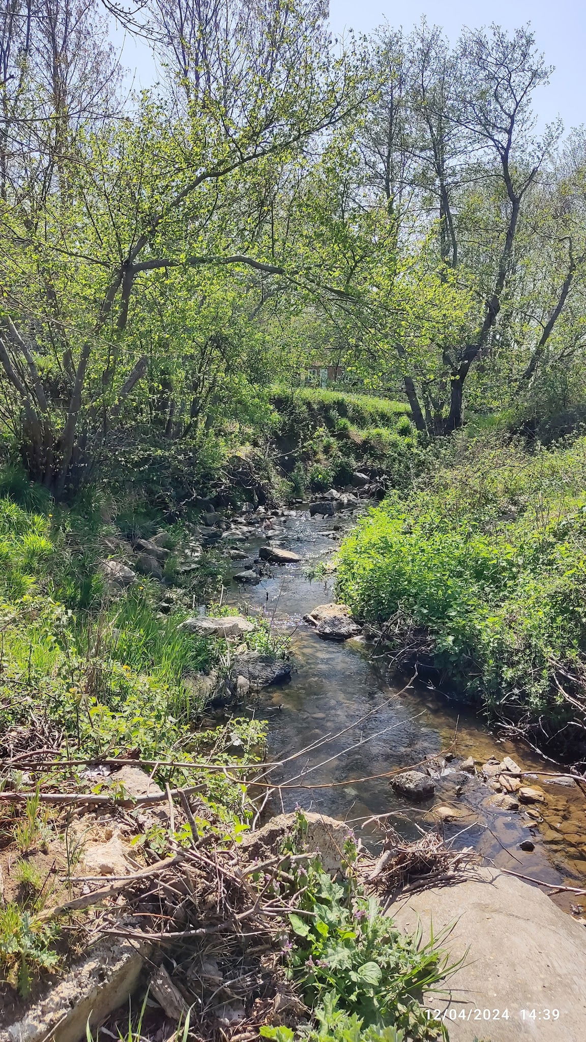 Binkılıç Saklı Bahçe