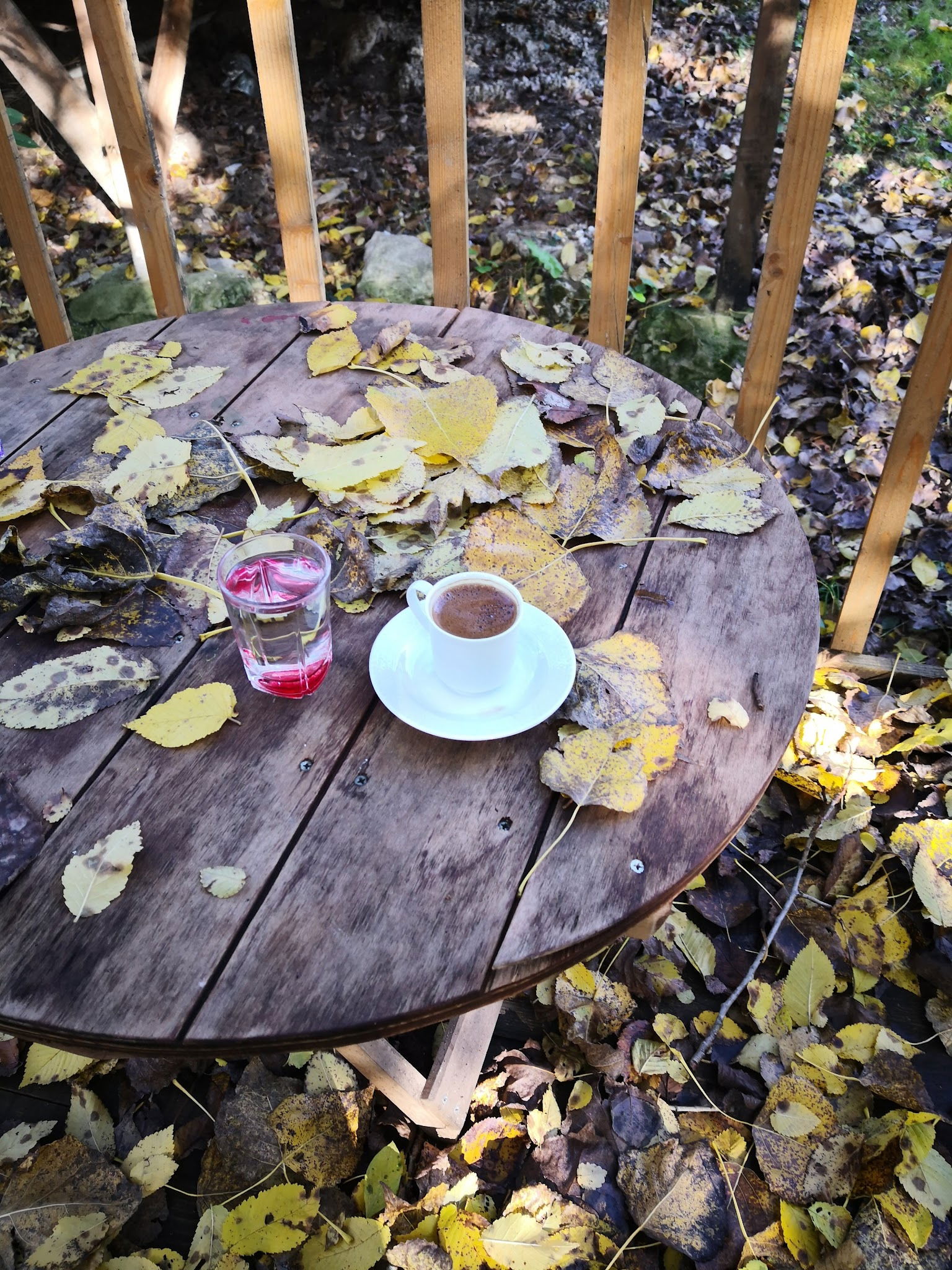 Binkılıç Saklı Bahçe