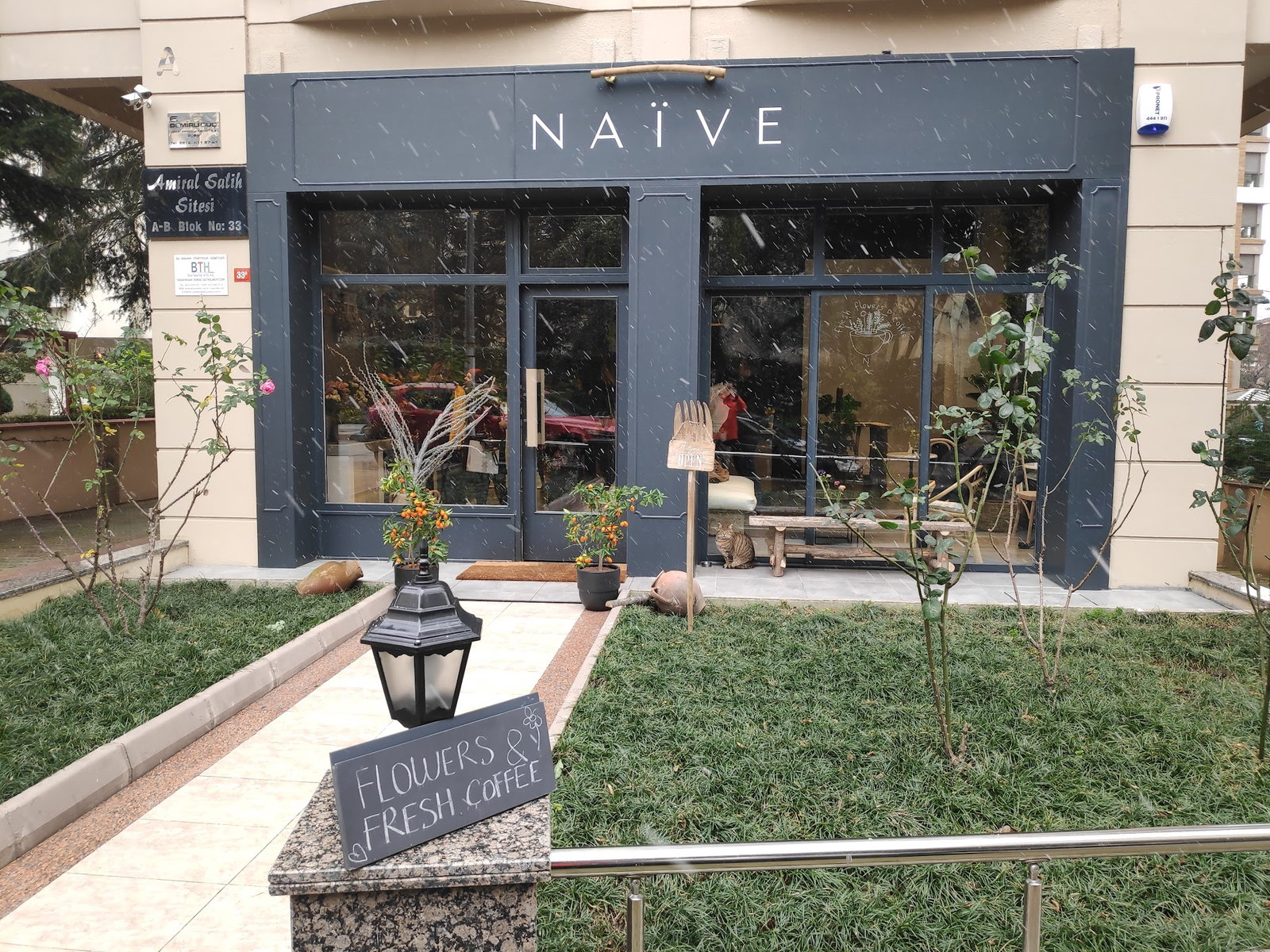 Naïve