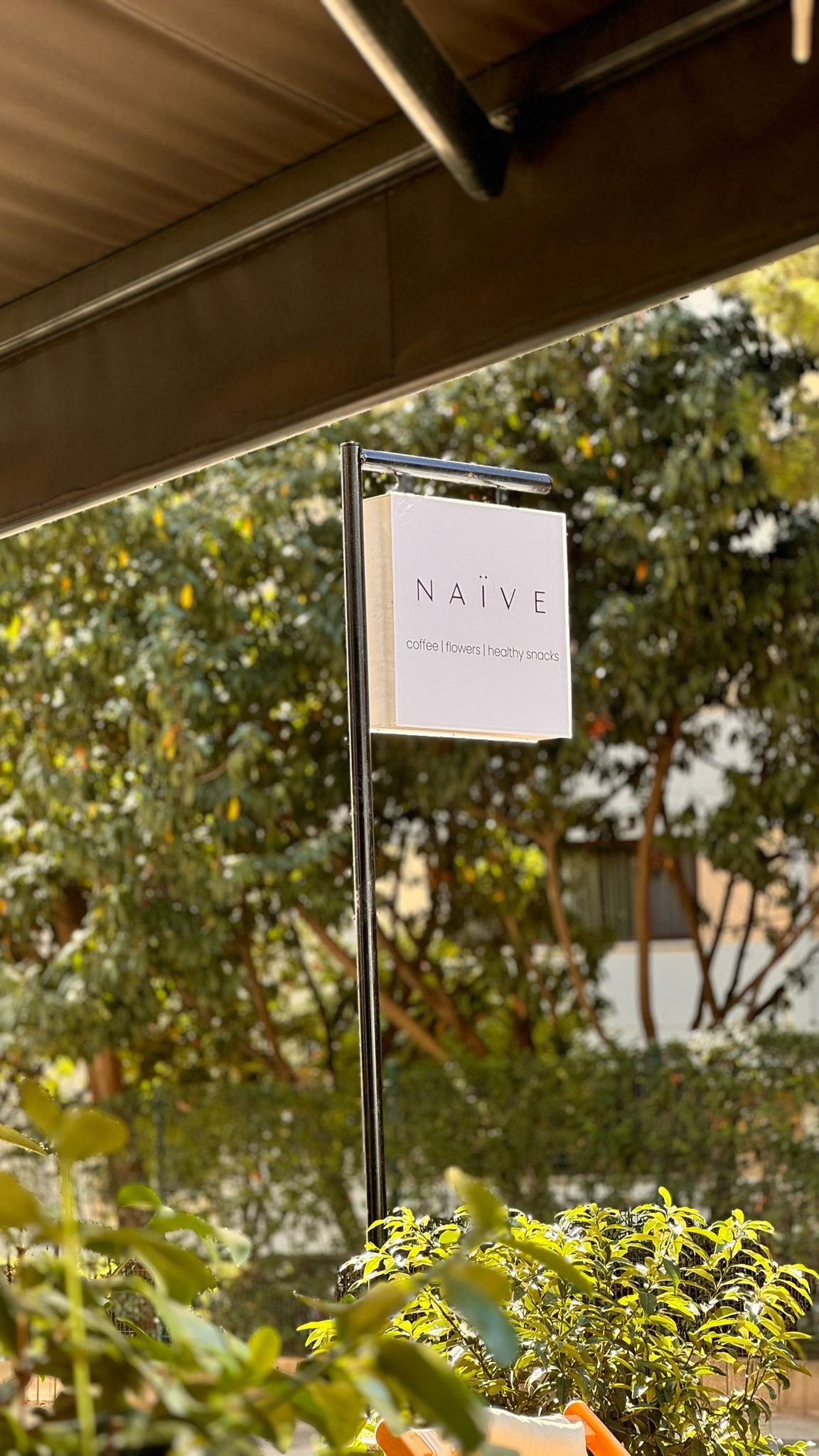 Naïve