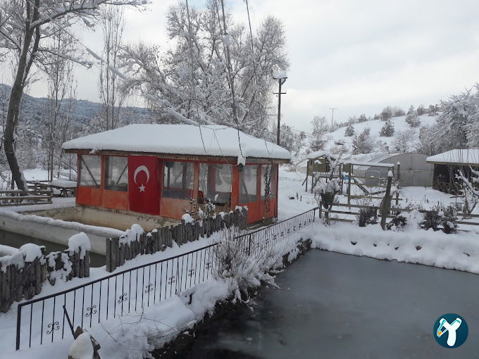Gürlek Köyü Yorumazlar balık lokantası