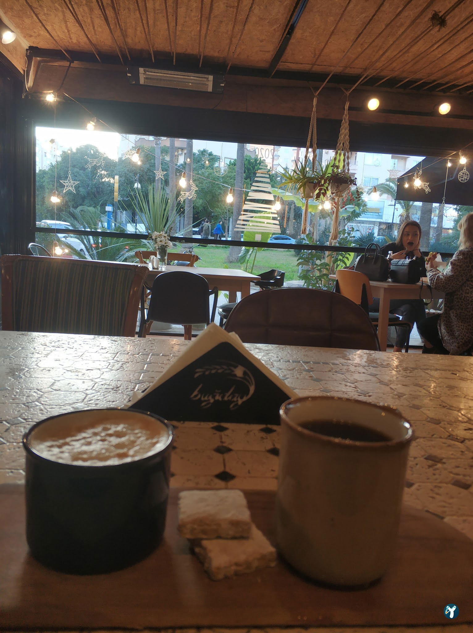 Buğday Mersin