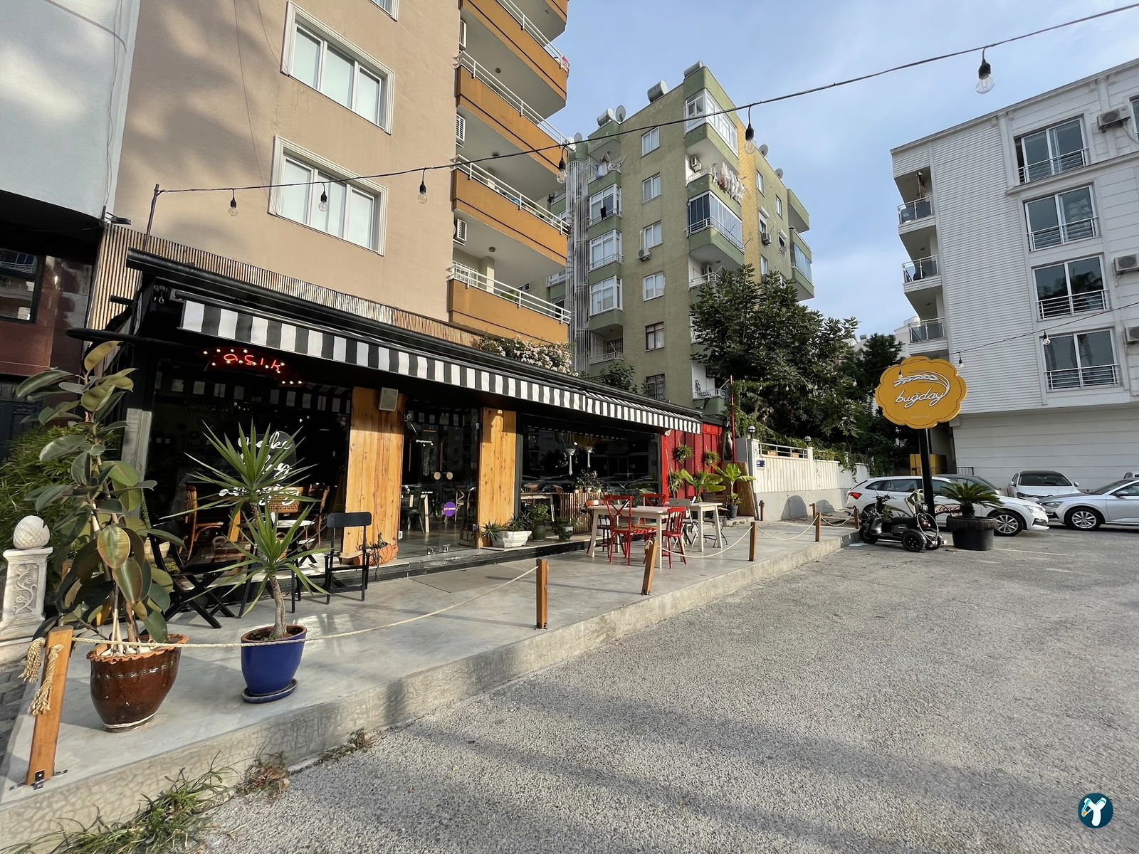 Buğday Mersin