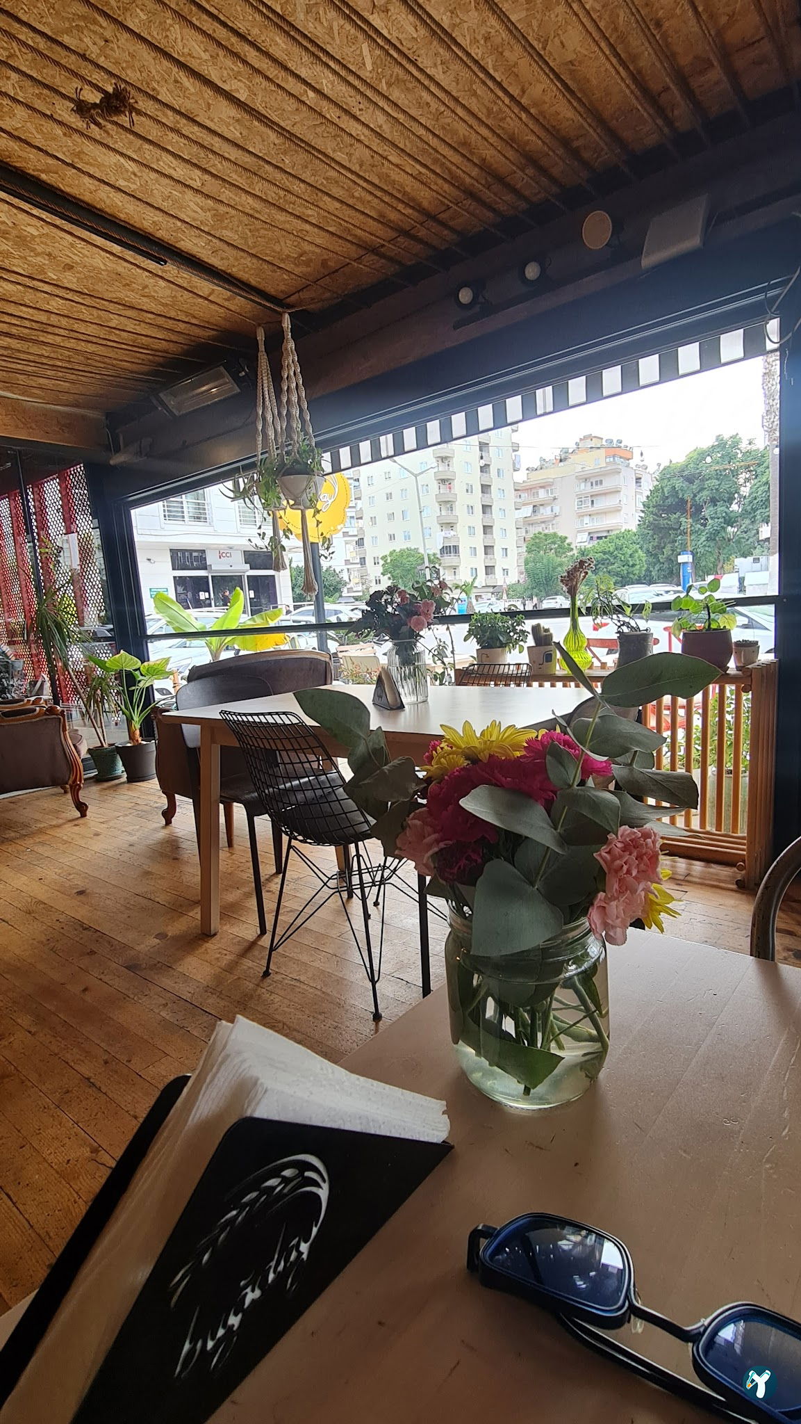 Buğday Mersin