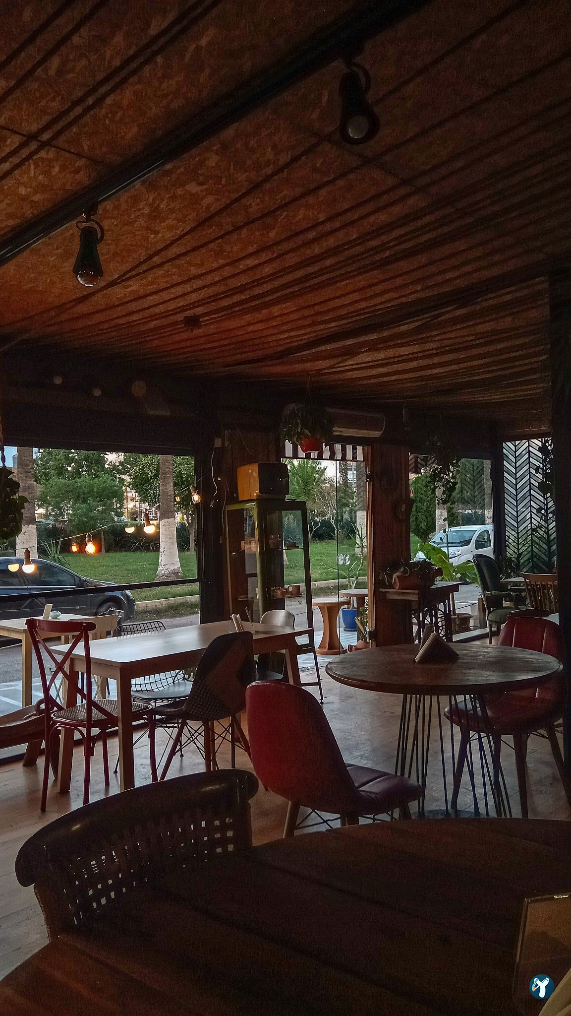 Buğday Mersin